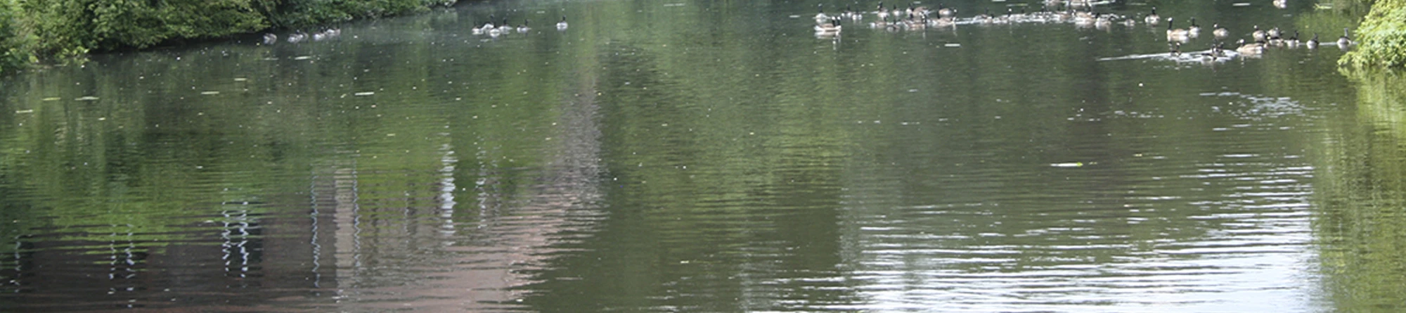Ferienwohnungen Morgenstern Sendenhorst